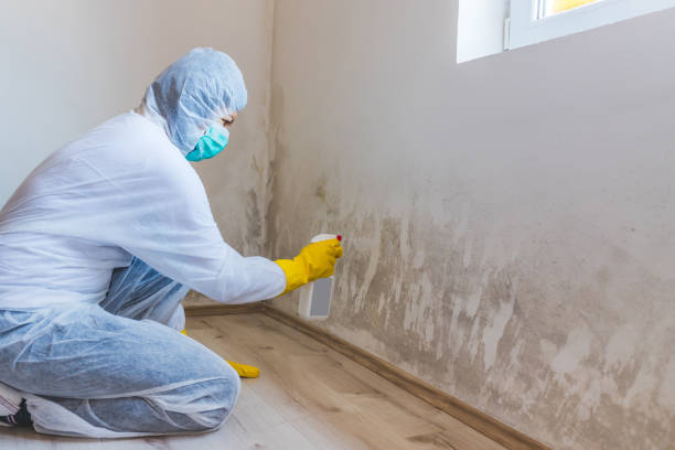 Commercial Mold Remediation assessment for commercial property in Westphalia