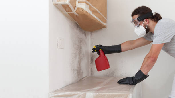 Attic Mold Remediation treatment on roof deck in Westphalia